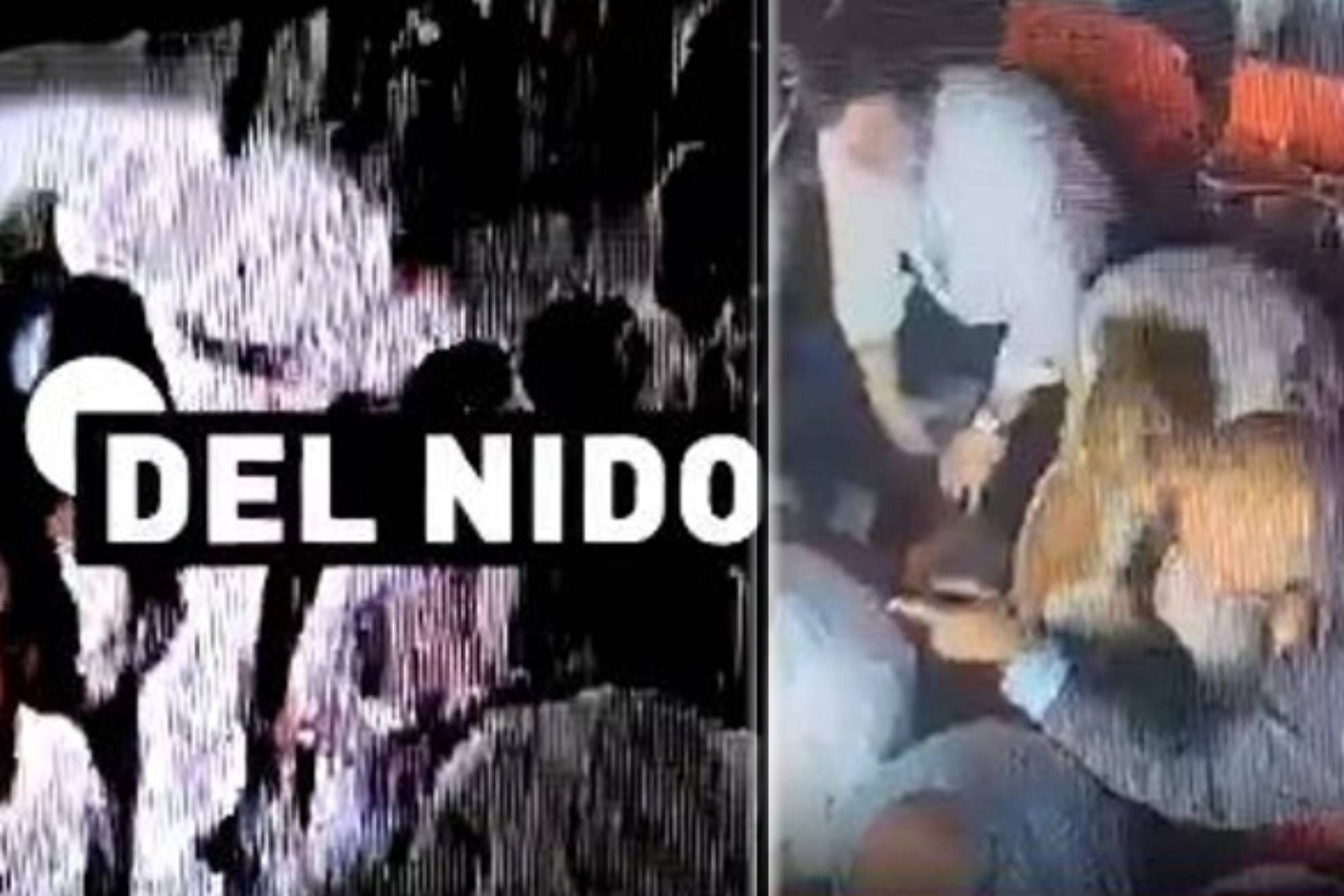 力投入到 力投入到