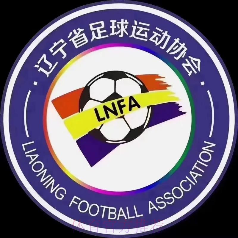 中国足球大省辽宁完成足协改制